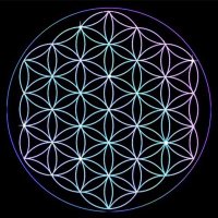 𝐄 (@ebrunuevo) 's Twitter Profile Photo