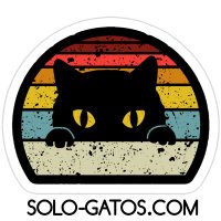 Solo Gatos (@gatos_solo) 's Twitter Profile Photo Solo Gatos (@gatos_solo) 's Twitter Profile Photo