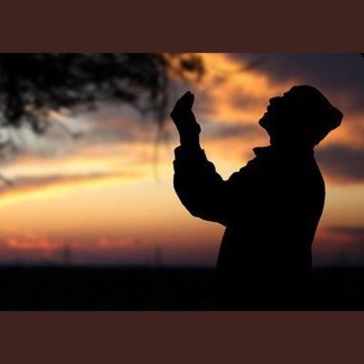 labtech393's profile picture. 