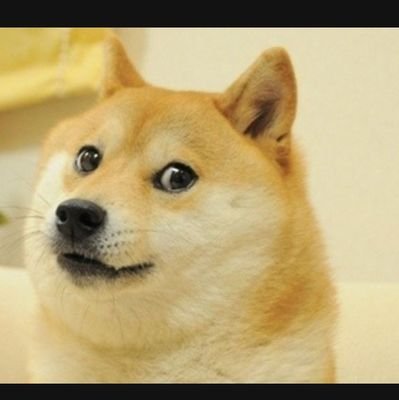 LeashWakey's profile picture. I peed where I live it's mine if I pee there