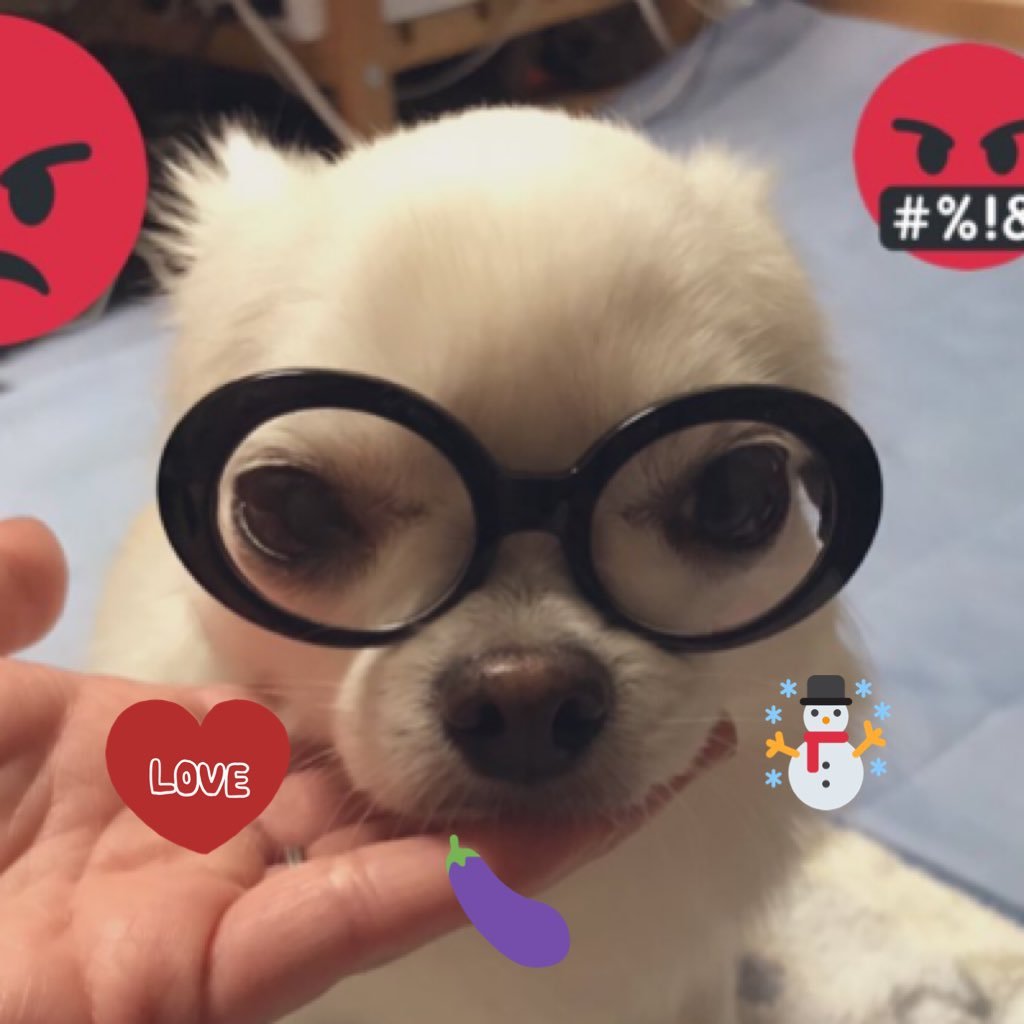 seri(ごきたま)GTF⛄さんのプロフィール画像