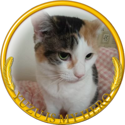 Purimaro7's profile picture. 大切な宝もの→家族🌈＆🐈🐈‍⬛♥
2014中国杯で羽生くんに完落ち🪽美しい演技、人となりすべてを尊敬しています💫✨🫧
音楽♬.*ﾟ🎹吹奏楽*:.:♬🌟🎷ユーミンは青春🌼💕
プロロ八戸、GIFT、RE_PRAY横浜に行けたことは一生忘れない💭💓🌟
@YUZURUofficial_