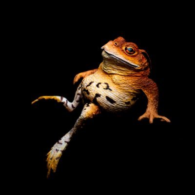 カエル作品の造形作家。生物学者。爬虫両棲類学の研究で博士号（理学）を取得。手作業による制作活動を通して『人が人を感動させることの価値』を届けたい。ECサイトでの販売はminneのみとなっています。https://t.co/lpzyGuC3d6