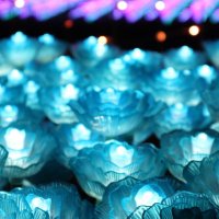 しろまる (@chokomaruhaha) 's Twitter Profile