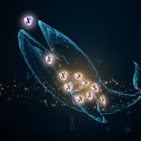 Alephium Whales (@alphwhale) 's Twitter Profile