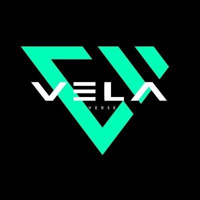 VELAVERSEさんのプロフィール画像