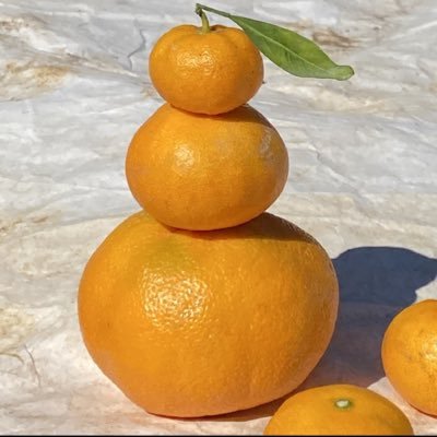 みかん作ってます🍊…時々は劇団きゃあ「コンテナみかん」もやってます。🍊の旬は、毎年秋になればやって来ますが…コンテナみかんの旬は…もう終わってます😂