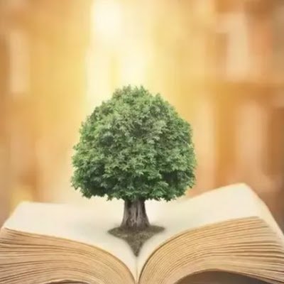 sahabdeennimnas's profile picture. 