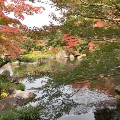 urasappi's profile picture. 兵庫高校野球 めいん↓