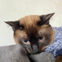 ೃ ❀.ジミーೃ ❁直美❀. (@totody4) 's Twitter Profile