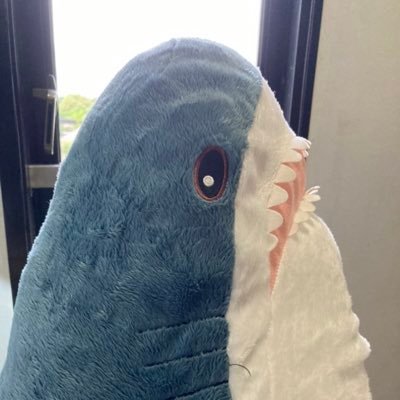 pppmさんのプロフィール画像