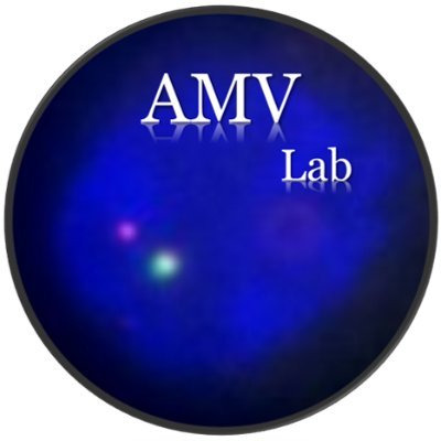 @di_nunzio_lab
