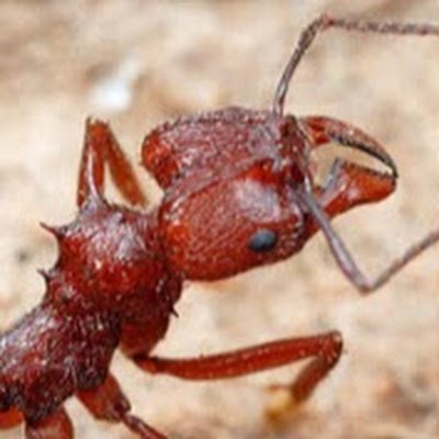 GavinRushing12's profile picture. 