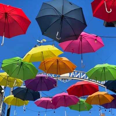 kjniehoff's profile picture. 