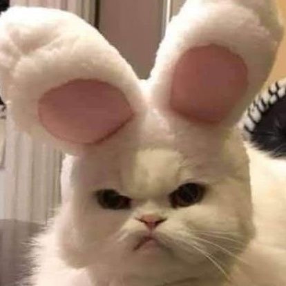 kemalatatrk7's profile picture. 