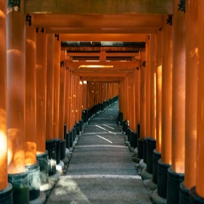 主に京都の写真．A7iv，SIGMAfp