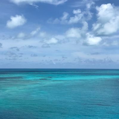 SpecialtyPI_Inc's profile picture. 