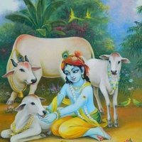 Care4Cow(@Care4Cow) 's Twitter Profile Photo