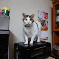 いってちゃ㋡ (@4gddidntoyyn1nq) 's Twitter Profile Photo