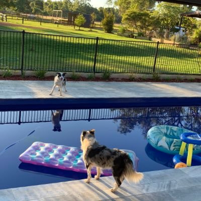 ratnalysis's profile picture. Love the beach, Essendon, horse racing, travel, sport and good humour. CEO of https://t.co/0XGnSkG4WI