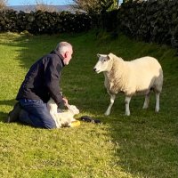 Huey the Hill Farmer🧢(@hairyhillfarmer) 's Twitter Profile Photo