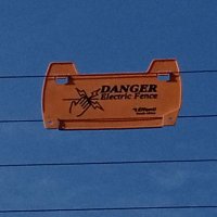 LORD BISHOP (@ourlordbishop) 's Twitter Profile Photo LORD BISHOP (@ourlordbishop) 's Twitter Profile Photo