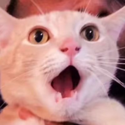 eth_gop's profile picture. not your avg prgmr