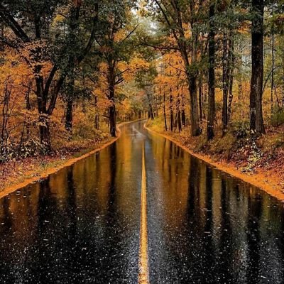 FandiPhie's profile picture. 