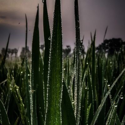 jaggy_jagadeesh's profile picture. No bio