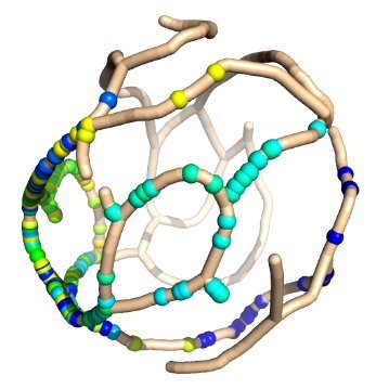 Koslover Group UCSD