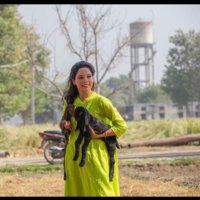 nkaur (@neendhillon) 's Twitter Profile Photo nkaur (@neendhillon) 's Twitter Profile Photo