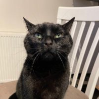 MrsHGeog (@geog_h) 's Twitter Profile