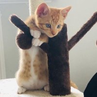 Eyesontheworld (@stuarts96614923) 's Twitter Profile