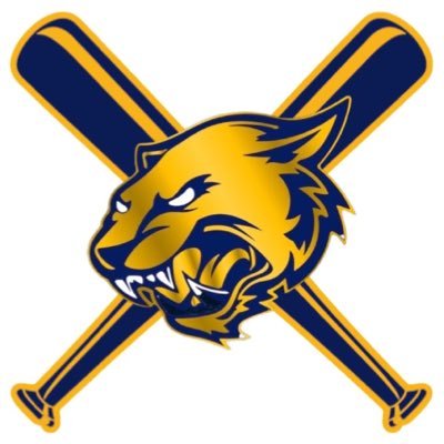 Knox Central Baseball Profile