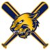 Knox Central Baseball (@baseball_knox) Twitter profile photo Knox Central Baseball (@baseball_knox) Twitter profile photo
