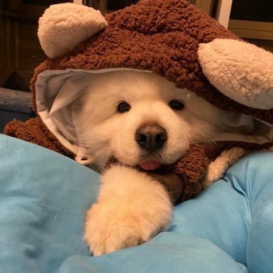 Maureen67697663's profile picture. 