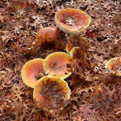 kleerider22's profile picture. 🌎