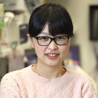 Lichun Ma (@lichunma) 's Twitter Profile