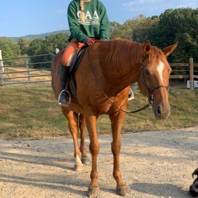 horse twitter’s resident personal trainer and nutrition coach • VT alum