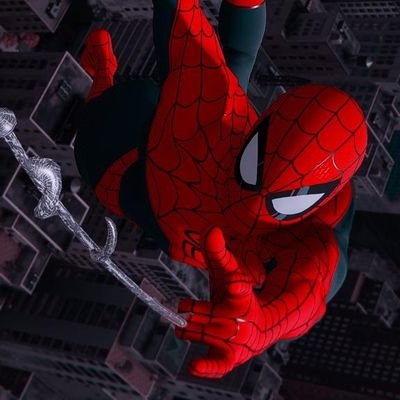 Solomon91849393's profile picture. 