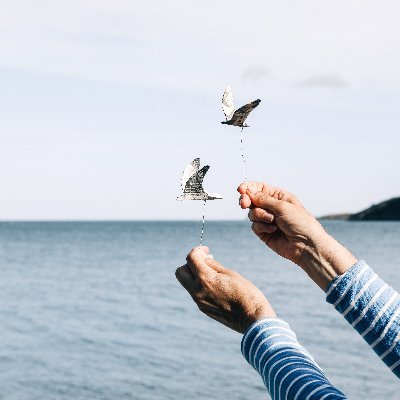 BraveBiscuitStu's profile picture. Puppetry in Cornwall. Nature, creativity, community. Finger Puppet Adventure Kits coming soon!