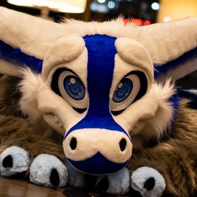 SnowballDragon's profile picture. Hi, I'm Snowball, most of my friends call me Snow.  Don't be afraid to say hi.