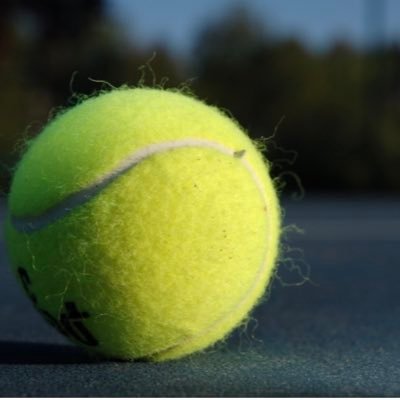 Lake Park Tennis Team
