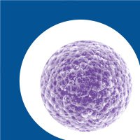 Regen BioPharma Inc. (@theregenbio) 's Twitter Profile Photo Regen BioPharma Inc. (@theregenbio) 's Twitter Profile Photo