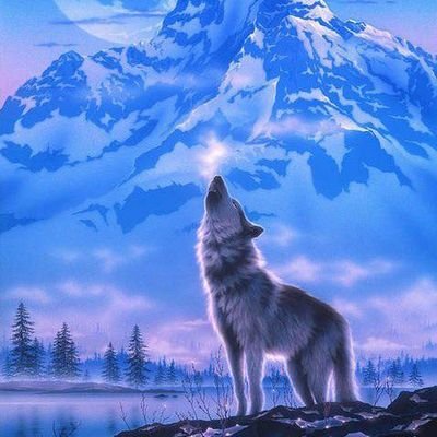 msymhmd1's profile picture. ፊዳከ ያረሱለላህ