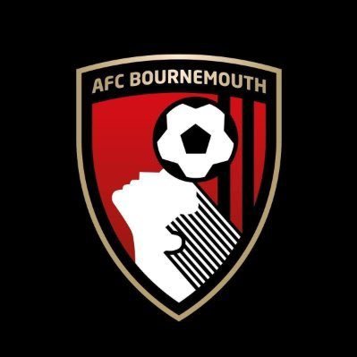 🍒AFC Bournemouth Supporter🍒