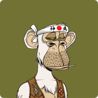 Carrier Game NFT (@carriergamenft) 's Twitter Profile Photo Carrier Game NFT (@carriergamenft) 's Twitter Profile Photo