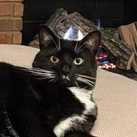 MGSamillin (@mgsamillin) 's Twitter Profile
