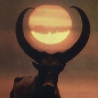 ae_7q π¨πΏ πΊπ¦ πͺπΊ (@aeae7q) 's Twitter Profile