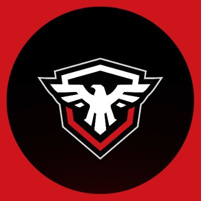 VeteranLeague Profile Picture